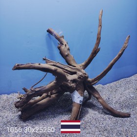 تصویر ریشه آبنوس کد1056 ارسال این ریشه رایگان می باشد