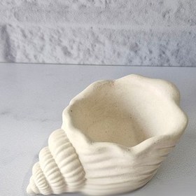 تصویر صدف حلزونی دکوری (کد906) 