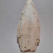 تصویر خوراک کف دریا 