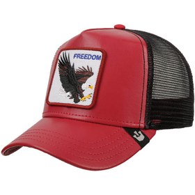 تصویر کلاه نقاب دار مدل Goorin - Big Bird 