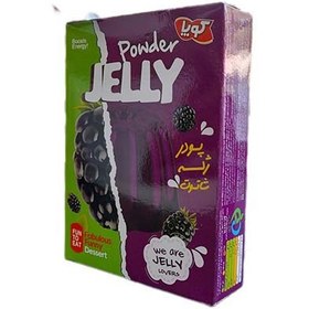 تصویر پودر ژله شاتوت کوپا 100 گرمی | طعمی شیرین و خاص از میوه‌های بومی 