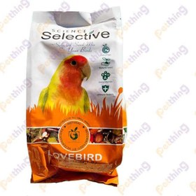 تصویر غذای طوطی برزیلی سلکتیو وزن ۱ کیلوگرم 