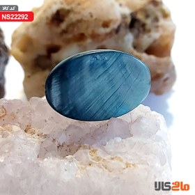 تصویر صدف بسیار زیبا (قدیمی) 