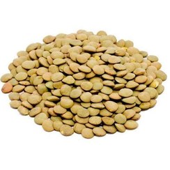 تصویر عدس درشت زودپز | خشکبار درندشت 