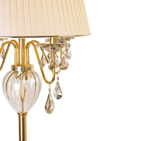 تصویر آباژور کنارسالنی شمس 