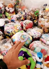 تصویر پک عروسک پولیشی ۱۰ کیلویی مخلوط 