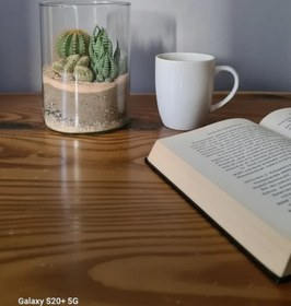 تصویر تراریوم کاکتوس | کد: ZNB-GRX 