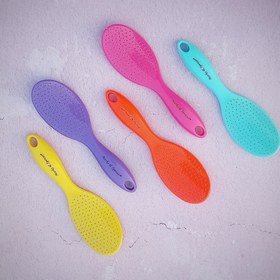 تصویر برس دلفینی 