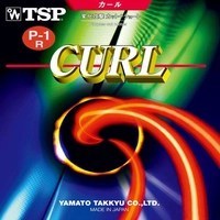 تصویر کورل P1-R 