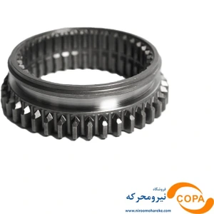 تصویر فروشگاه قربانی تهران