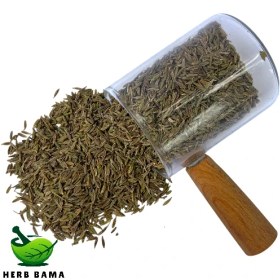 تصویر زیره سبز دان 