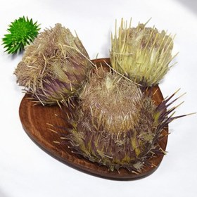 تصویر گیاه خار مریم 