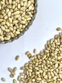 تصویر سویا آجیلی لیمویی 