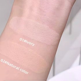 تصویر کوشن خرسی Gege bear - 02 