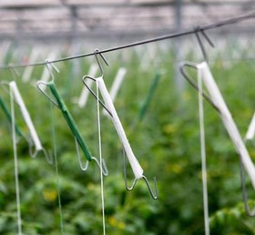 تصویر قلاب فلزی نخ پیچ - سفید / ۱۰متر / تکشیار Metal M hook with twine