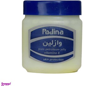 تصویر وازلین پادینا (Padina) مدل Skin Protection حجم 120 میلی‌لیتر 