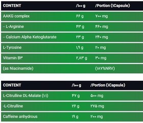 تصویر پمپ اسپارک پک تسلا | Tesla Pump SPARK PAK 