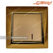 تصویر کلید تبدیل ایران مدل الیزه طلایی ا iran electric gold elize model iran electric gold elize model