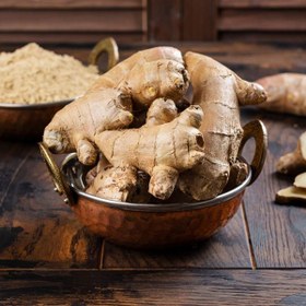 تصویر بوته ی زنجبیل 