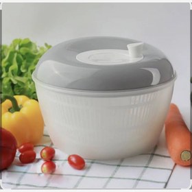 تصویر سبزی خشک کن همارا 