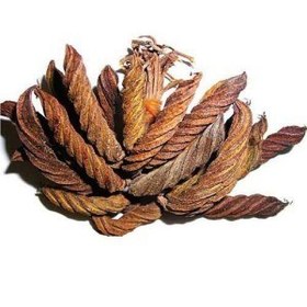 تصویر بهمن پیچ 