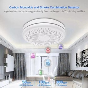 تصویر سنسور هوشمند دوکاره (سنسور دود و منوکسید کربن) 2 in 1 smart sensor (co2 and co)