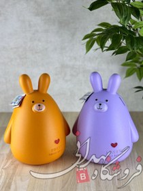 تصویر قلک زبیا خرگوش 