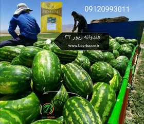 تصویر بذر هندوانه ریور 32 