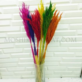 تصویر گل خشک مدل قمیش 