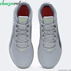 تصویر کفش پیاده روی و دویدن ریباک Reebok Subrite Legend 2 