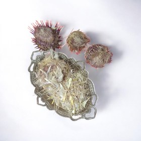 تصویر گیاه خار مریم 