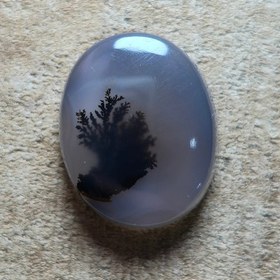 تصویر شجر قائن مصور 