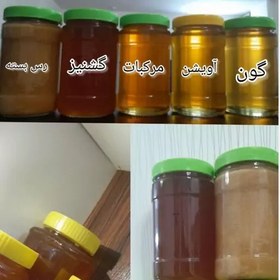 تصویر ژل رویال 10گرمی ارگانیک ییلاقات بندپی بابل 