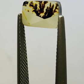 تصویر نگین شجر طبيعى هندوستان سایز 12*7 میلی‌متر 