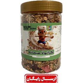 تصویر گرانولا-280گرم 