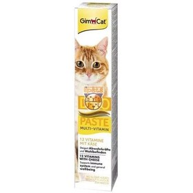 تصویر مالت گربه جیم کت مدل Duo Paste Anti Hairball طعم پنیر وزن ۵۰ گرم Gimcat Duo Paste Anti Hairball Cheese Flavour 50g