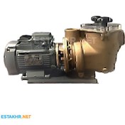 تصویر پمپ تصفیه استخر MEGAPOOL 1.5 hp مدل BZ150 