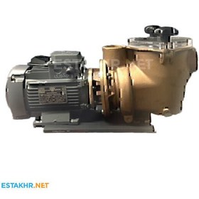تصویر پمپ تصفیه استخر MEGAPOOL 1.5 hp مدل BZ150 