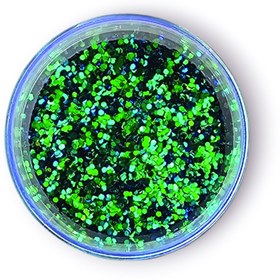 تصویر اکلیل هلوگرامی 