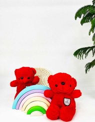 تصویر پولیشی تدی قرمز 