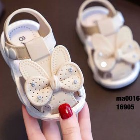 تصویر صندل پاپیون 