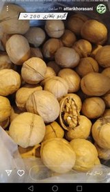 تصویر گردو درجه یک بلغاری ۱ کیلویی 