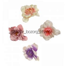 تصویر سر گل شب بو تکی 