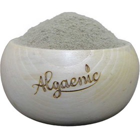 تصویر نمک گیاهی سالیکورنیا 