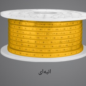 تصویر ریسه شلنگی رنگی رویالوکس 10 وات 120 چیپ بر متر (50 متر) 