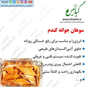 تصویر سوهان جوانه گندم 