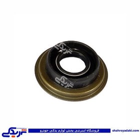 تصویر کاسه نمد شافت (ماهک) تعویض دنده پژو - ویژن Peugeot shaft Seal