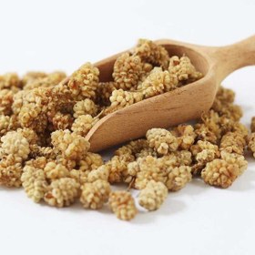 تصویر کشک رشته ای 