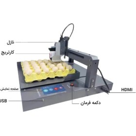 تصویر دستگاه تاریخ زن تخم مرغ DCN E1 