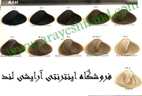 تصویر رنگ مو الیو OLIVE حجم 100 میل گروه خاکستری (سری ASH - A) 